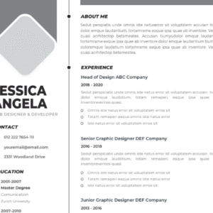 Professional CV Resume Template Vol.10