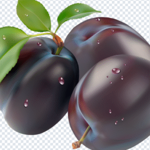 plum_png