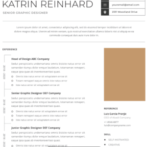 Professional CV Resume Vol.40