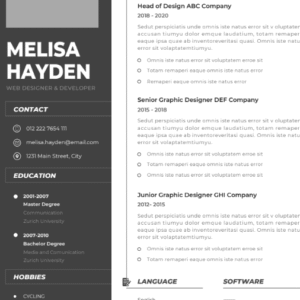 Professional CV Resume Vol.3