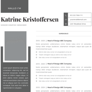 Professional CV Resume Vol.43