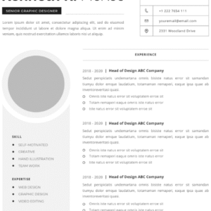 Professional CV Resume Vol.41