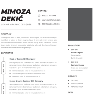 Professional CV Resume Vol.31