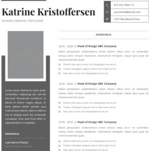 Professional CV Resume Vol.6