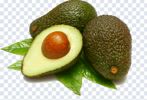 avocado_png