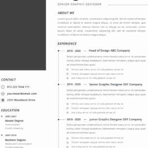 Professional CV Resume Vol.22
