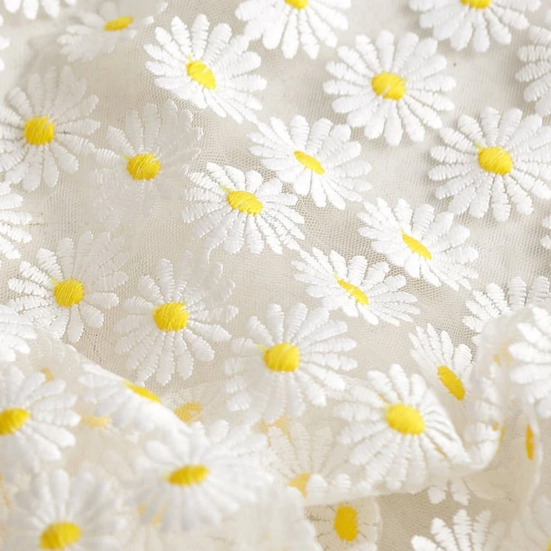 flower daisy white