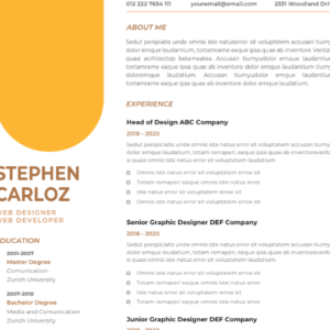 Professional CV Resume Template Vol.12
