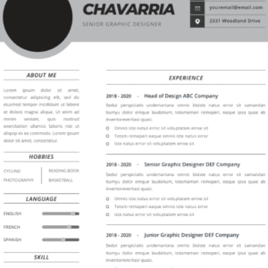 Professional CV Resume Template Vol.9