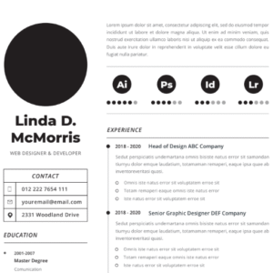 Professional CV Resume Vol.35