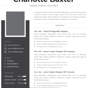 Professional CV Resume Vol.1