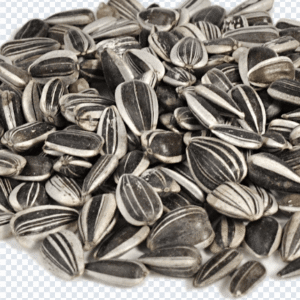 sunflower_seeds_png