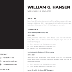Professional CV Resume Vol.23