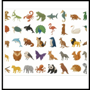 PAPER FOLD ANIMATIONS