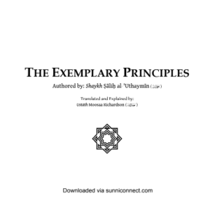 THE EXEMPLARY PRINCIPLES