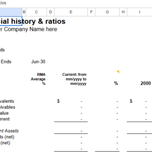 Financial history ratios.xlt