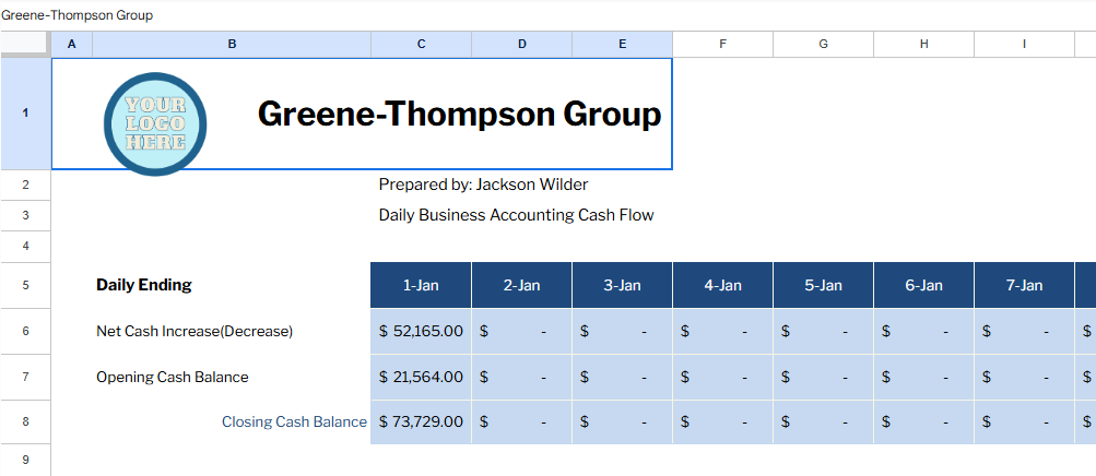 Daily Business Accounting Cash Flow Template.xlsx