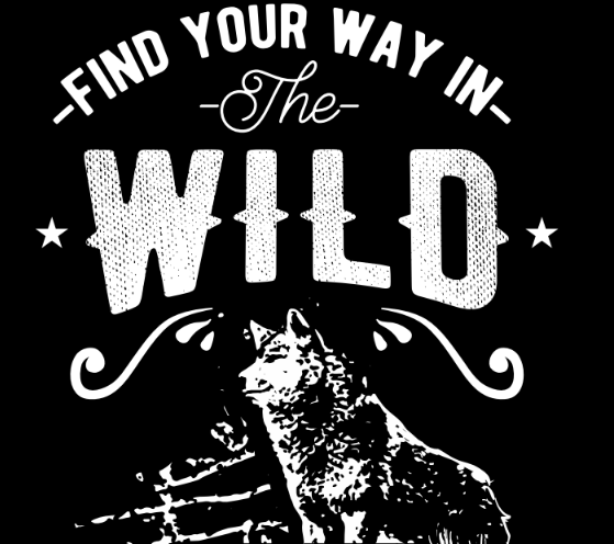 Find Your Way in the Wild