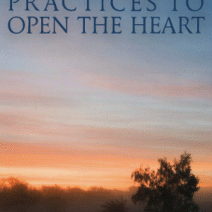 The Four Immeasurables