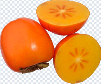 persimmon_png