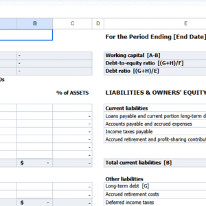 Balance sheet with financial ratios1.xls