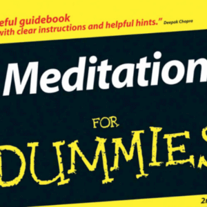 Meditation Of Dummies