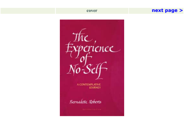 The Experience of No Self