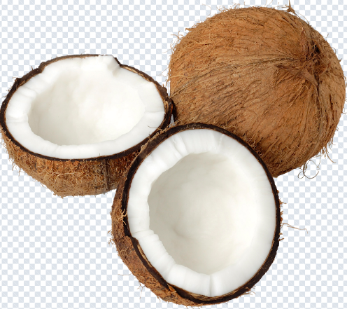 coconut_png