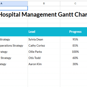 Hospital Management Gantt Chart (2).xlsx