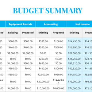Budget Summary Template A4.docx