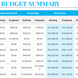 Budget Summary Template US.docx