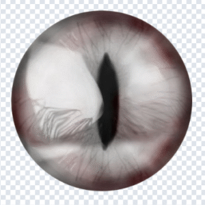 Photoshop Actions Retouching