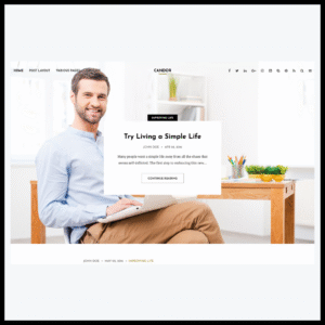 elements candor responsive wordpress blog theme