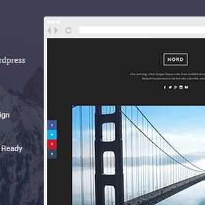 elements nord wordpress theme with focus on content